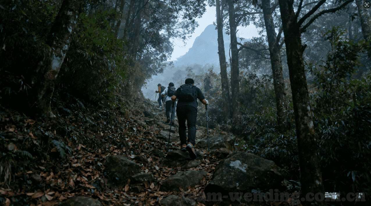 世界杯的全国排名-世界杯全国排名，足球盛宴中的竞技与荣耀